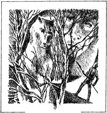 Мартин сидел у костра и жарил на вертеле кусок синтетического мяса Этот вертел - фото 1