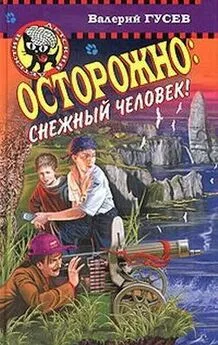 Валерий Гусев - Каникулы в бухте пиратов