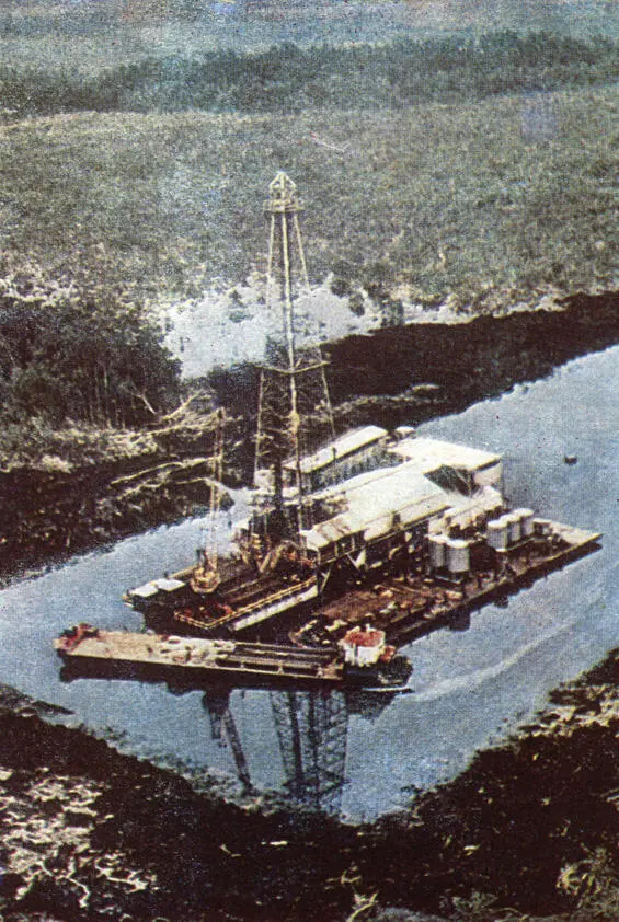 Поиски нового нефтяного родника в дельте Нигера Летчик врач агроном - фото 24