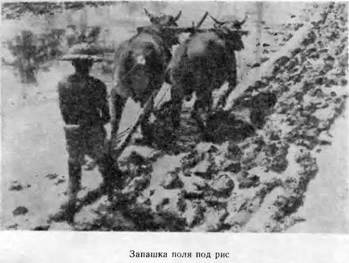 В категорию духовных феодалов султаната и вассальных княжеств входили пенгулу - фото 30