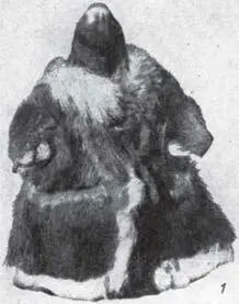 Илл 18 Соломенные куколки обдерихи стригушки широко распространены у - фото 18