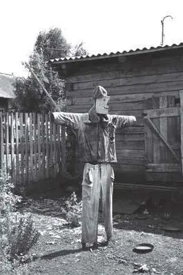 Илл 24 Примыкает по общей семантике к кукле и огородное пугало см Бушкевич - фото 24