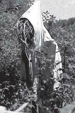 Илл 26 В традиционном быту огородное пугало часто использовалось для - фото 26