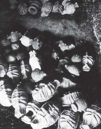 Илл 67 Палец Распространенной инкарнацией героя является палец На - фото 67