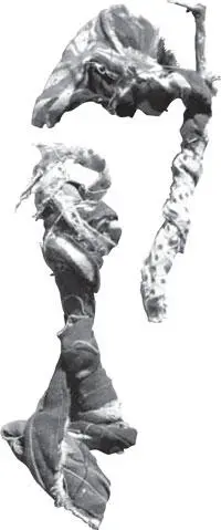 Илл 112 Как любая вещь относящаяся к миру культуры кукла осмысляется как - фото 170