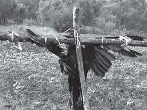 Илл 121 В некоторых случаях например в оккультной и магической практике - фото 179