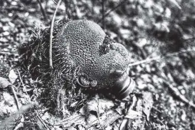 Илл 154 В художественных проектах современных авторов кукла становится - фото 212