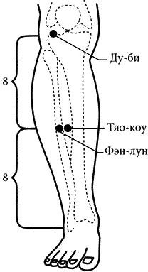 Рис 48 Определение точки фэнлун Способ воздействия на точкуУкол - фото 56