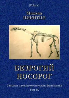 Михаил Никитин - Безрогий носорог