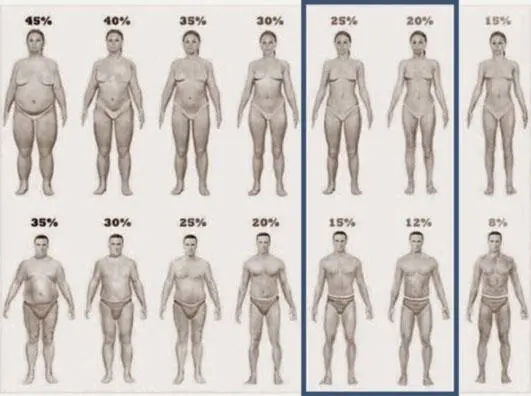 Процент жировой массы в организме мужчины и женщины Очищение организма должно - фото 1