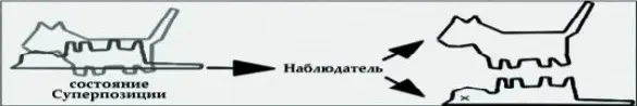 Рис 43 Кошка Шредингера и мертвая и живая Основная модель квантовой физики - фото 45