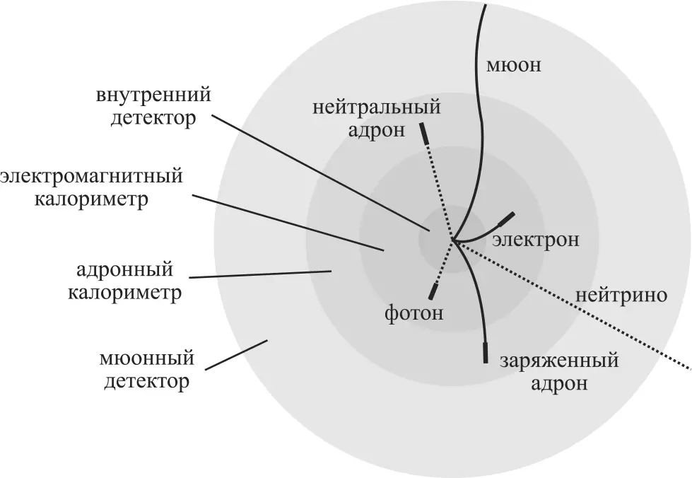 Поперечное сечение детектора схематически демонстрирующее поведение разных - фото 12