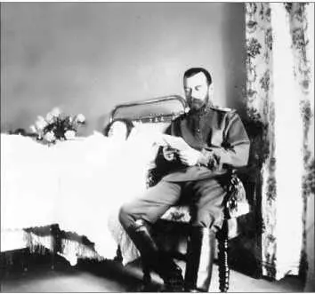 Николай II у постели Татьяны Видна спинка панцирной кровати 1913 г В 1907 - фото 227