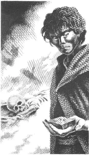Черная четвероногая тень промелькнула через испещренную солнечными пятнами - фото 9