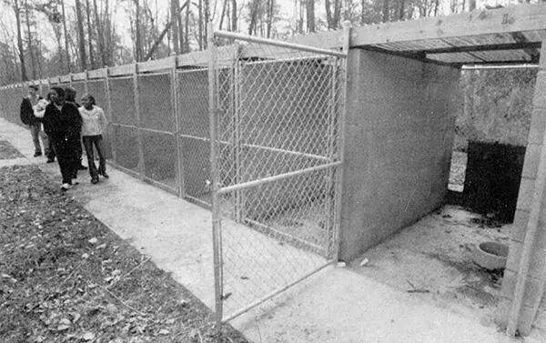2 Современные бетонные отсеки для собак на участке Вика с резервуарами для - фото 2