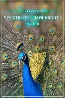 Илья Рухленко - Что ответить дарвинисту? Часть II