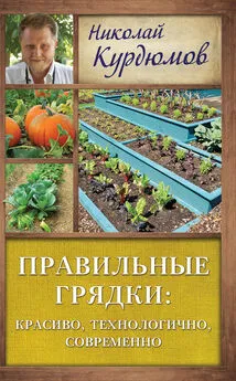 Николай Курдюмов - Правильные грядки: красиво, технологично, современно