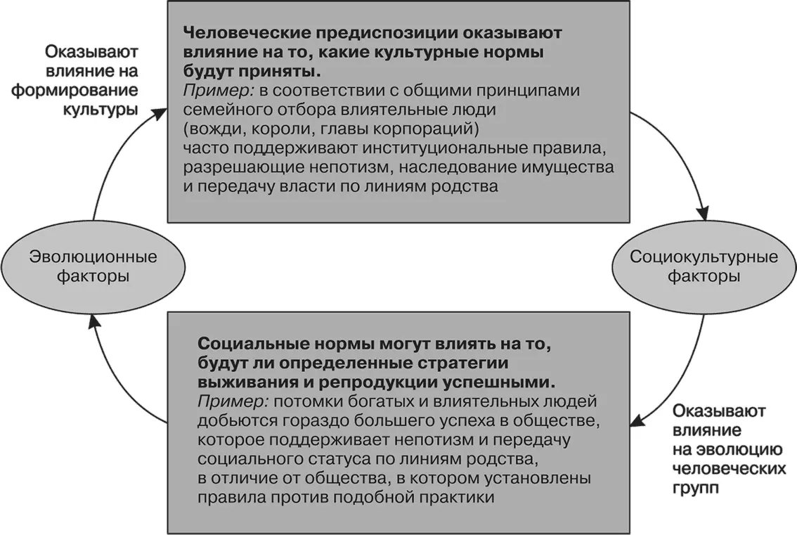 Рис 142 Эволюционные и социокультурные факторы не являются независимымиЛюди - фото 294