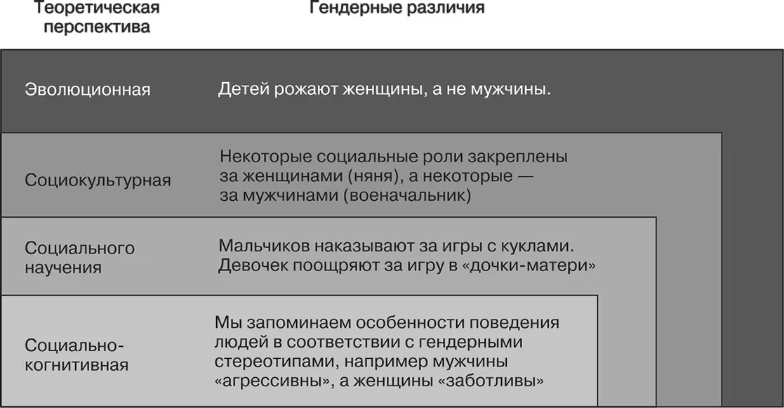 Рис 144 Различные теоретические перспективы выбираемые при изучении - фото 297