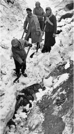 Январь 1942 г фото Дмитрия Бальтерманца Ранним утром 4 января над - фото 48