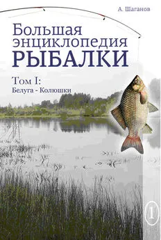 Антон Шаганов - Большая энциклопедия рыбалки. Том 1