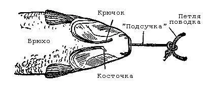 Рис 129 Положение крючка в жаберной щели попавшегося сазана Существует и - фото 137