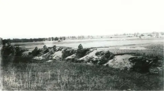 Солдаты 503го полка в окопах у селения Гронималовка ведут огонь по противнику - фото 35