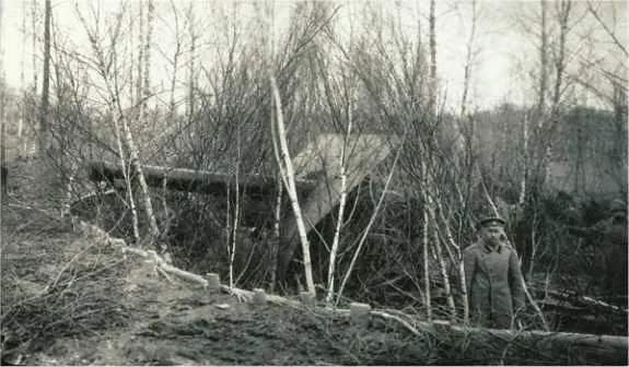 Замаскированное орудие на первой позиции ЮгоЗападный фронт Фото 19141916 - фото 39