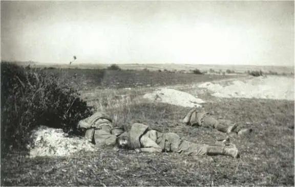 Трупы солдат на поле боя ЮгоЗападный фронт Фото 19141915 гг ЦГАКФФД СПб - фото 42