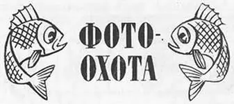 Кто они подводные фотоохотники Чаще всего это бывшие охотники и рыболовы Ну - фото 41