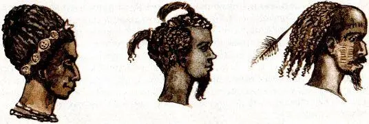 Прически охотников Восточной Африки XIX в При раскопках трипольских поселений - фото 96