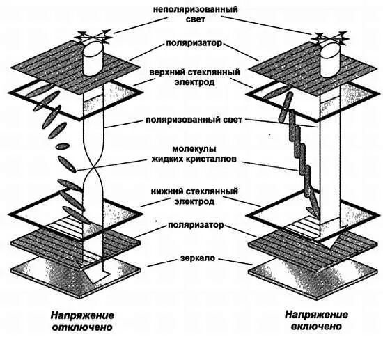 Рис 78 Устройство пассивной ЖКячейки Здесь слой жидких кристаллов толщиной - фото 53