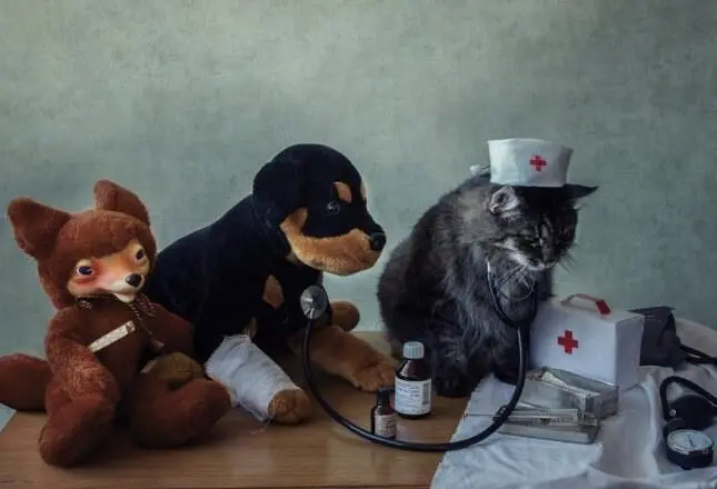 На фото просто кот и мышонок 1 Том и Джерри долой конфронтацию - фото 50
