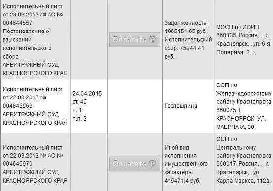 В отношении данной фирмы ведется очень много исполнительных производств - фото 24