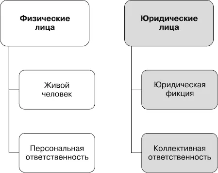 Чем отличается физические лицо от юридического при взыскании долга В первую - фото 5