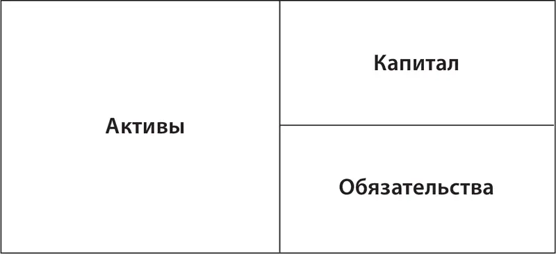 Вначале посмотрим на два больших прямоугольника Один активы Второй - фото 45
