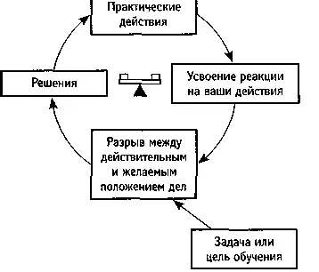 Механизм обучения Это механизм уравновешивающей обратной связи Вы учитесь - фото 21