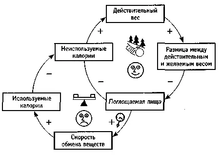 Диета предел для улучшений благополучия Чем ниже желаемый вес тем большее - фото 35