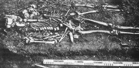 Рис 4 Погребение на поселении Языково 1 Кашинский район Неолит Раскопки - фото 4