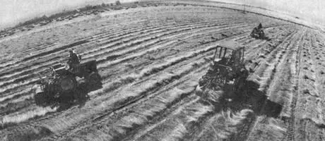 Рис 108 Уборка льна в колхозе Серп и молот Лихославльского района 1980 г - фото 114