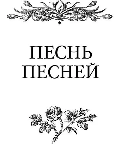 Песнь песней 1 Да лобзает он меня лобзанием уст своих Ибо ласки твои - фото 13