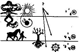 Рис 17 Двенадцать знаков Зодиака в их расположении на эклиптике Для - фото 19