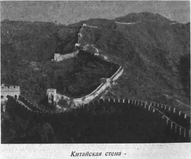 почти такой же ширины карабкается по склону крутой горы на ее вершину после - фото 21