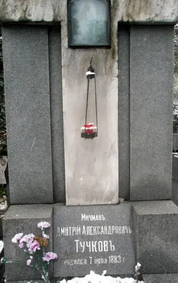 Могила мичмана Дмитрия Тучкова Москва Новодевичье кладбище Октябрь 2015 - фото 138