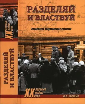 Федор Синицын - Разделяй и властвуй. Нацистская оккупационная политика