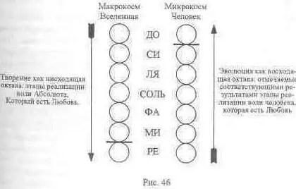 Изложенные в данной главе факты и соображения помогают уяснить функцию торая - фото 44
