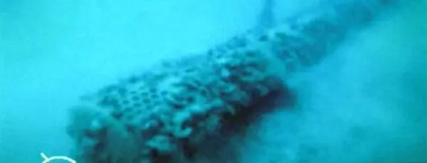 Подводная лодка Нарвал на грунте Черного моря Подводная лодка Нерпа - фото 372