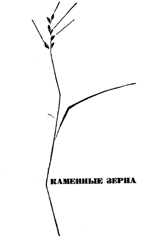 Недвижный камень рухнувшего храма И прописными буквами строка Ни запятых Ни - фото 39