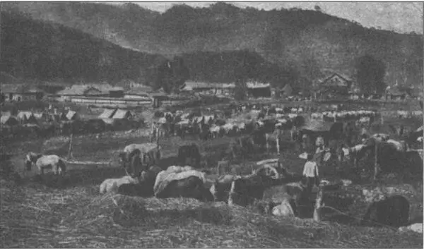 В Корее в июле 1904 года Казаки в корейских соломенных накидках Н - фото 21
