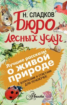 Николай Сладков - Бюро лесных услуг. С вопросами и ответами для почемучек